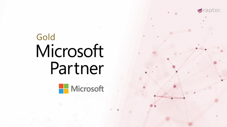 International expansion with Microsoft Gold Partnership